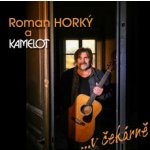 Kamelot - V čekárně Vinyl LP – Hledejceny.cz