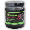 NutriStar Fit booster 500 g