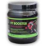 NutriStar Fit booster 500 g – Zboží Mobilmania