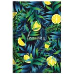 BB ART Notes Citron – Hledejceny.cz