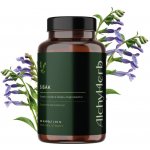 AlchyHerb Šišák bajkalský 60 kapslí – Hledejceny.cz