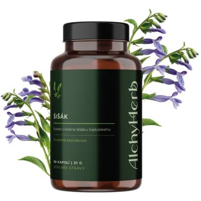AlchyHerb Šišák bajkalský 60 kapslí – Hledejceny.cz