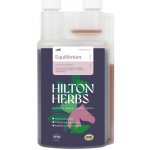 HILTON HERBS Equilibrium Liquid pro podporu klidné a stabilní povahy 1 l – Hledejceny.cz