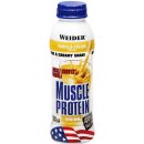 Weider Muscle Protein drink 500 ml