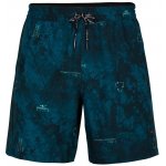 O'Neill pánské kraťasy WORLD WAVE SHORTS 2800002-19010 černé – Zboží Mobilmania