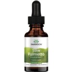 Swanson Licorice Root Liquid Extract 29,6 ml – Hledejceny.cz