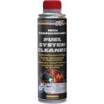 BlueChem Fuel System Cleaner 300 ml – Hledejceny.cz