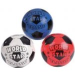 Míč WORLD STAR 22cm – Zboží Dáma