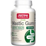 Jarrow Formulas Jarrow Mastic Gum, 1000 mg, 60 rostlinných kapslí – Hledejceny.cz