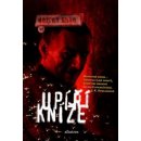 Upíří kníže kniha VI. - Shan Darren