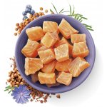 Carnilove True Fresh Fish 340 g – Zboží Dáma