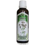 Serafin Dobromysl tinktura z bylin 50 ml – Hledejceny.cz