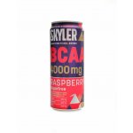 Best Body nutrition BCAA drink Skyler 330 ml – Hledejceny.cz