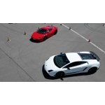 Ferrari vs Lamborghini 1 osoba Bez záznamu 40 minut – Zbozi.Blesk.cz