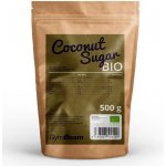 GymBeam Bio Coconut Sugar 500 g – Zboží Dáma