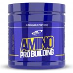 Pro Nutrition AMINO PRO BUILDING 200 tablet – Hledejceny.cz
