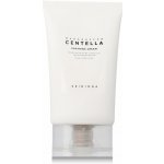 SKIN1004 Skin 1004 MADAGASCAR CENTELLA SOOTHING CREAM 75 ml – Zboží Dáma