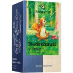 Sonnentor Nadechnutí v lese Bio 21,6 g – Hledejceny.cz