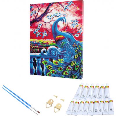 RealG RC-K-263 Malování podle čísel s rámem barevný páv 30 x 40 cm – Hledejceny.cz