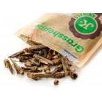 JK ANIMALS Sušené saranče 80 g – Zboží Dáma