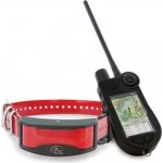 SportDog GPS a výcvikový systém TEK 2.0 – Sleviste.cz