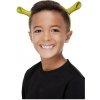 Dětský karnevalový kostým Čelenka Shrek rohy pěnové 52