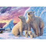 Dino Secret Collection: Lední medvědi 1000 dílků – Sleviste.cz