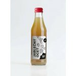 Moštárna Hoštětín Ocet jablečný Bio 500 ml – Hledejceny.cz