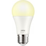 Niceboy ION SmartBulb Ambient SA-E27 – Zboží Dáma