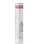 Gymbeam Magnesium chelate + B6 pomeranč 20 šumivých tablet – Hledejceny.cz