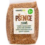 Country Life Pšenice ozimá zrno BIO 1 kg – Zboží Dáma