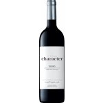 Wine а Soul Pintas Douro Character Tinto 2022 Červené 14,5% 0,75 l (holá láhev) – Hledejceny.cz