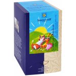 Sonnentor Bio Čaj Sluneční pozdrav 45 g – Sleviste.cz
