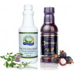 Liquid Chlorophyll 476 ml + Zambroza 458 ml – Hledejceny.cz
