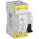 Jistič-chránič KRO6-2/B10/30A Kanlux 23214 – Hledejceny.cz
