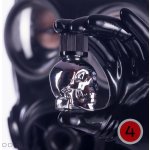 Amyl Silver Skull 15 ml – Zboží Dáma