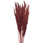 Vínová kytice sušené květy bambusu Bamboo – 100 cm – Hledejceny.cz