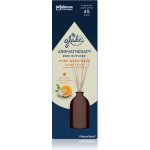 Glade Aromatherapy Reed Diffuser Pure Happiness aroma difuzér vonné tyčinky 80 ml – Zboží Mobilmania