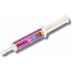 Horse Master Electro zip 30 ml – Zbozi.Blesk.cz