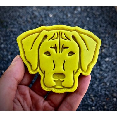 TVOŘÍTKO Rhodéský ridgeback I - vykrajovátko – Hledejceny.cz