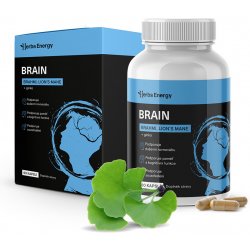 Herbs Energy BRAIN Brahmi, Lion´s Mane + Ginkgo 30 dávek