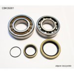 Ložiska klikové hřídele BEARING WORX CBK35001 – Hledejceny.cz