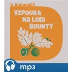 Vzpoura na lodi Bounty - Vítězslav Kocourek – Zboží Dáma