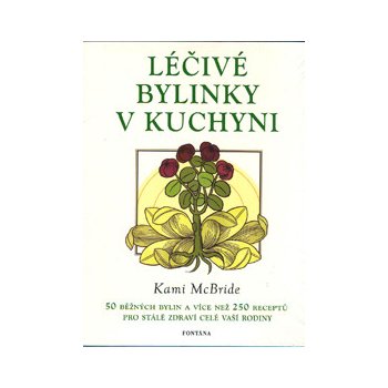 Léčivé bylinky v kuchyni