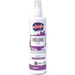 Ronney Volume Up Express Treatment kúra pro jemné vlasy 285 ml – Hledejceny.cz