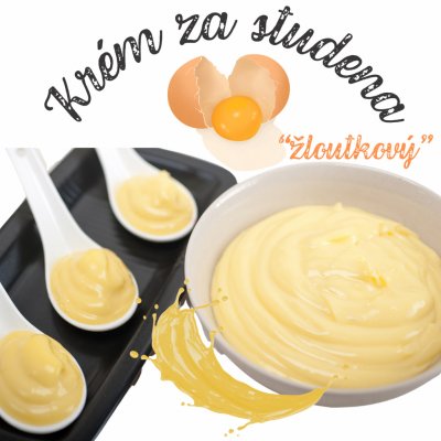 Vanilmix směs pro přípravu pudinkového krému za studena 500 g – Sleviste.cz