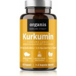 Allnature Organis Kurkumin 60 kapslí – Hledejceny.cz