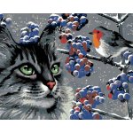 Malování podle čísel ČÍHAJÍCÍ ŠEDÝ KOCOUR A PTÁČEK – Zboží Dáma