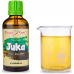 Bylinné kapky Juka tinktura Pavlovy bylinné kapky 50 ml – Hledejceny.cz