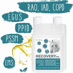 Dromy Recovery oil 1 l